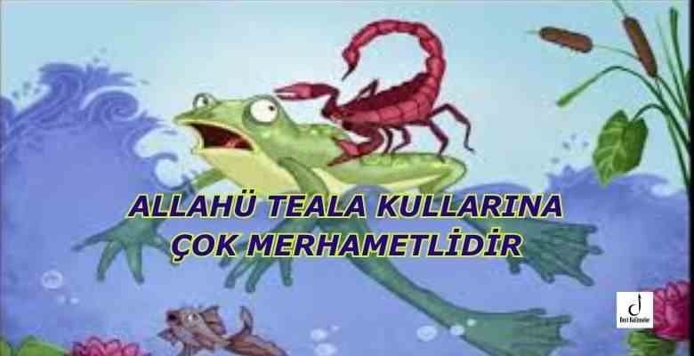 ALLAHÜ TEALA KULLARINA ÇOK MERHAMETLİDİR