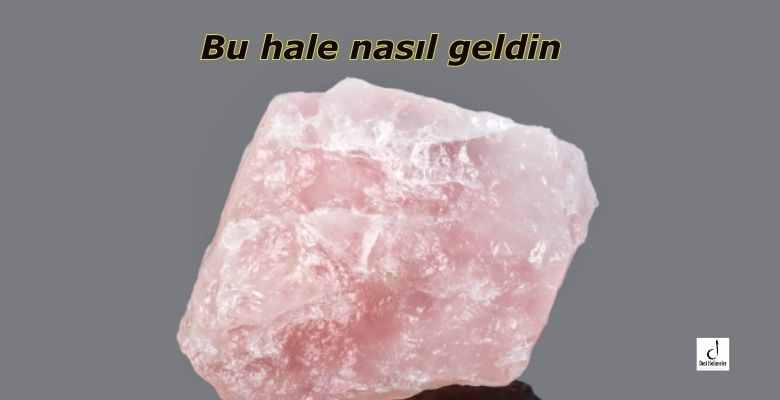 Bu hale nasıl geldin