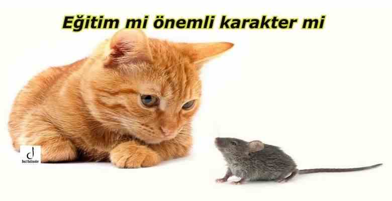 Eğitim mi önemli karakter mi