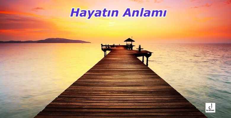 Hayatın Anlamı