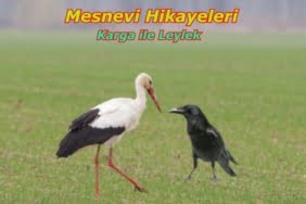 Karga ile Leylek - Mesnevi Hikayeleri