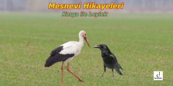 Karga ile Leylek – Mesnevi Hikayeleri