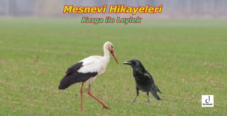 Karga ile Leylek - Mesnevi Hikayeleri
