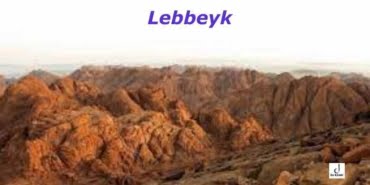 Lebbeyk