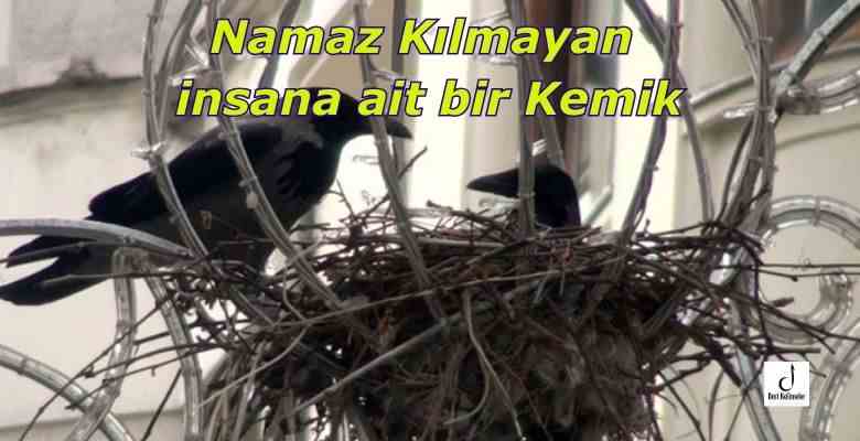 Namaz Kılmayan insana ait bir Kemik