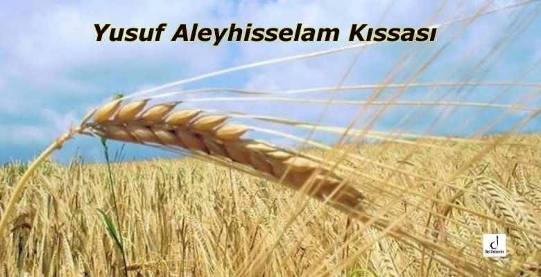 Yusuf Aleyhisselam Kıssası