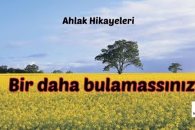 Bir daha bulamassınız