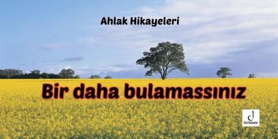 Bir daha bulamassınız