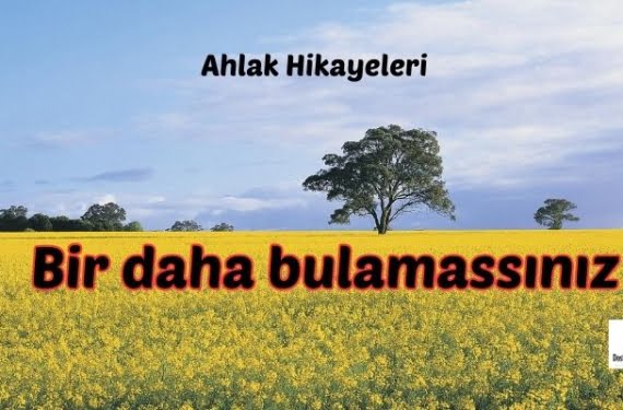 Bir daha bulamassınız 1 Bir daha bulamassınız