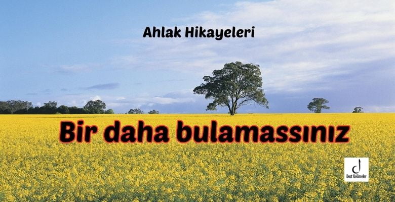 Bir daha bulamassınız
