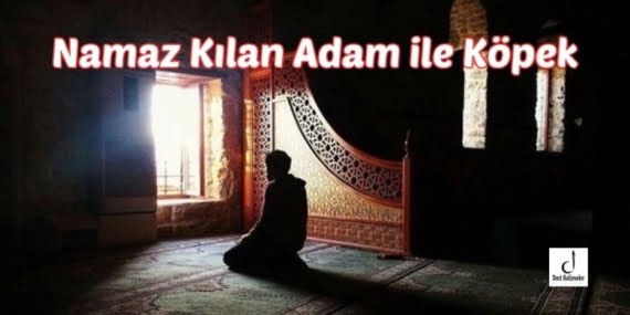 Namaz Kılan Adam ile Köpek