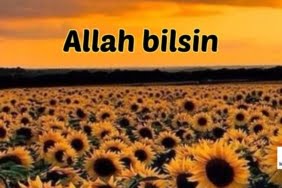 Allah bilsin