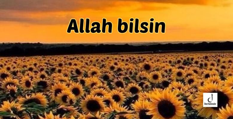 Allah bilsin