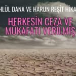 Herkesin Ceza ve Mükafatı Verilmiş 29 Herkesin Ceza ve Mükafatı Verilmiş