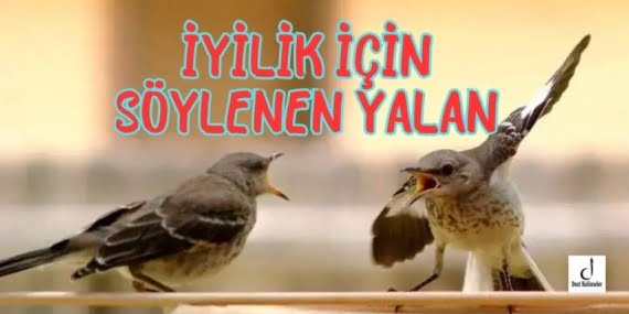 İyilik İçin Söylenen Yalan