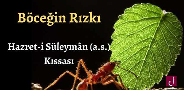 Bocegin-Rizki