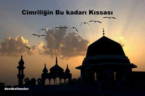 Cimriliğin Bu kadarı