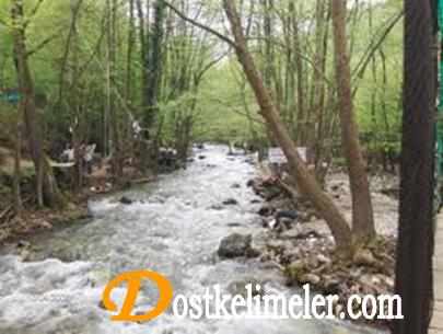 Kendini-Tehlikeye-Atmak