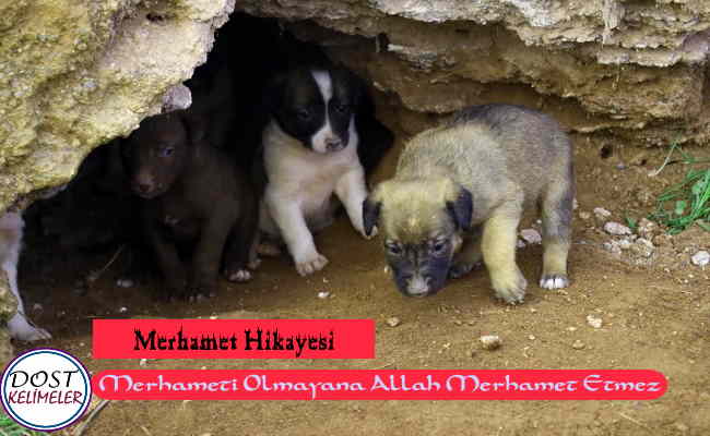 Merhameti-Olmayana-Allah-Merhamet-Etmez