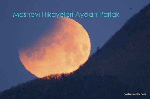 Mesnevi-Hikayeleri-Aydan-Parlak