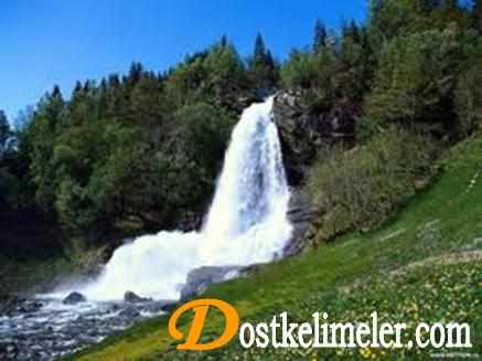 Yeşil Şeyh 1 Yesil-Seyh