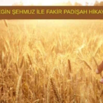 GEZGİN ŞEHMUZ İLE FAKİR PADİŞAH HİKAYESİ