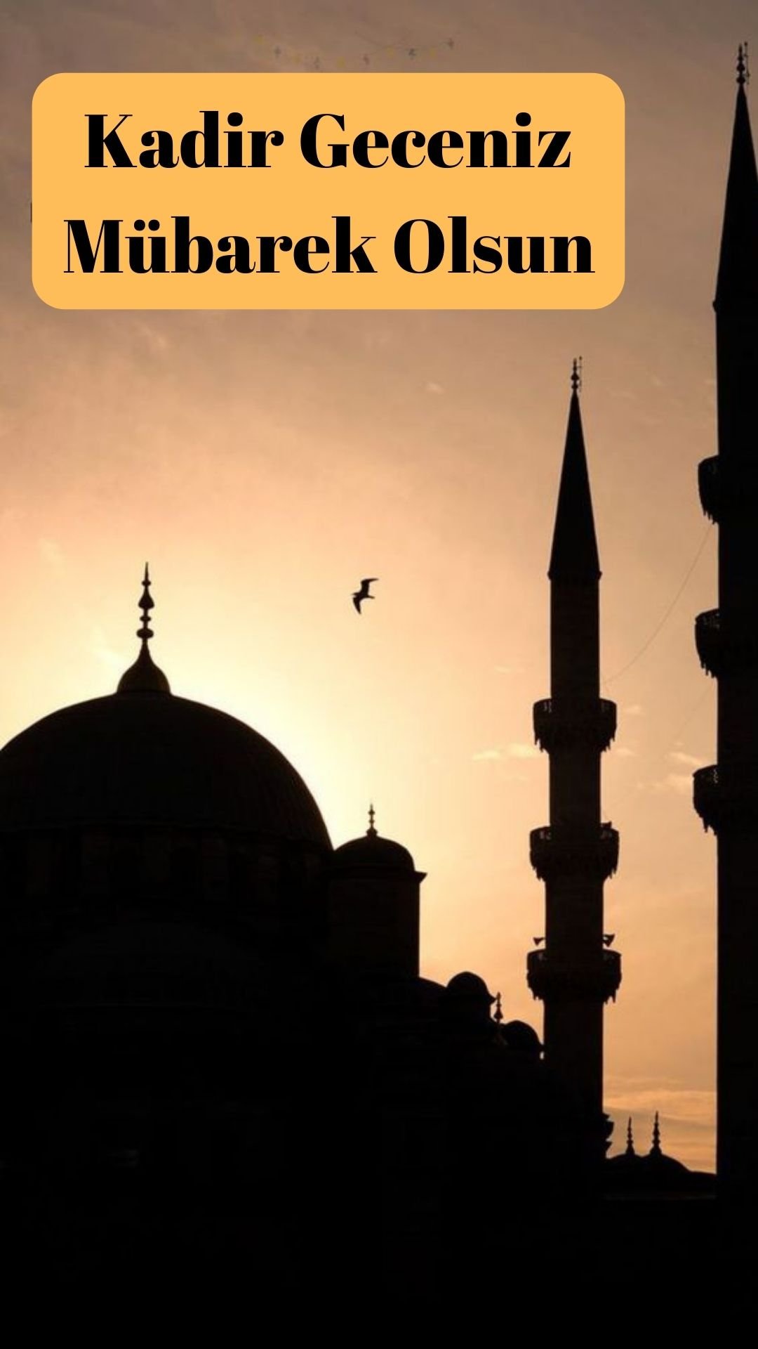 En İyi Kadir Gecesi Mesajları, En Yeni Kadir Gecesi Mesajları, Kadir gecesi mesajları, En Güzel Kadir Gecesi Mesajları, hadisli kadir gecesi mesajları, Resimli Kadir Gecesi Mesajları 2024