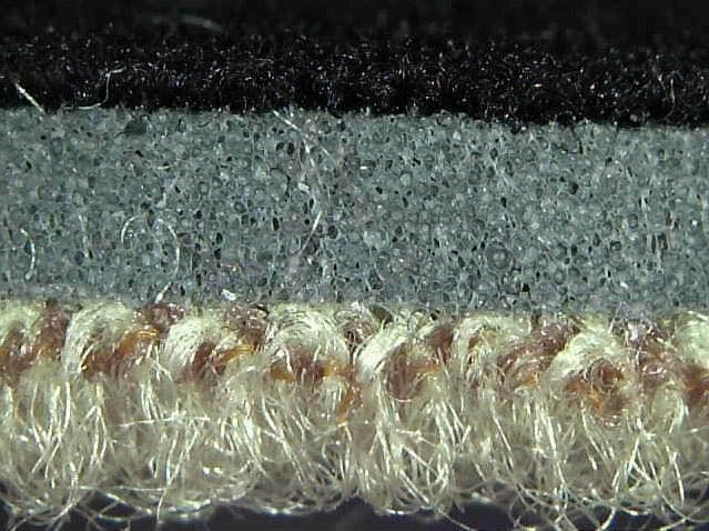 Lastik Üreten Bitki Parthenium argentatum 2 20121119-patagonia-guayule-wetsuit-material-profile