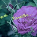 Hayırlı Kandiller…