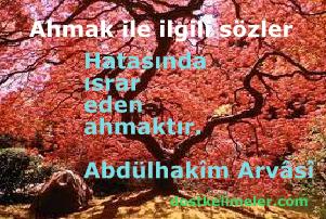 Ahmak ile ilgili sözler