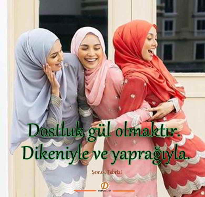 Anlamlı dostluk sözleri resimli