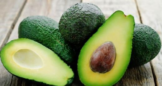 Avokado Hakkında bilgi 1 Avokado bitkisi Hakkinda bilgi