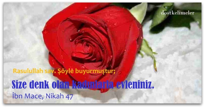 Evlilik ile ilgili Hadisler 6 Evlilik ile ilgili hadisler resimli