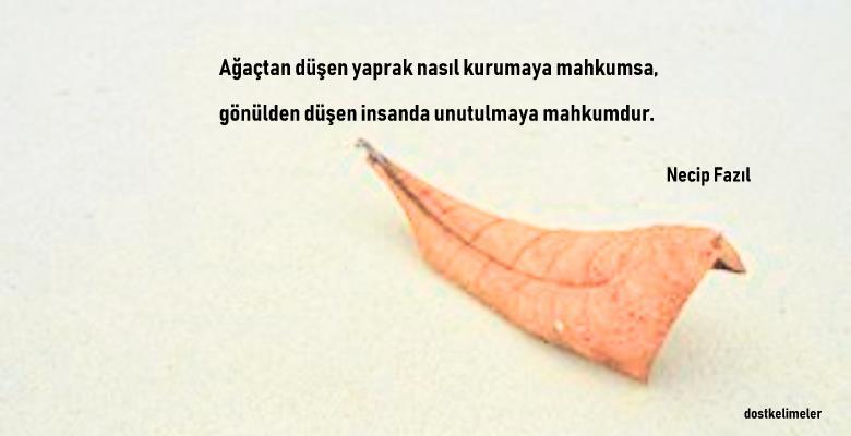 Gönül ile ilgili sözler 5 Gönül ile ilgili resimli sözler Necip fazıl