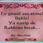 Resimli Mevlana Sözleri 8 Mevlana resimli soz
