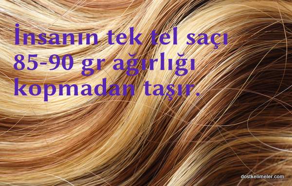 insanlar ile ilgili ilginç bilgiler 2 Resim insanlar ile ilgili ilginc bilgiler