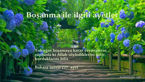 Resimli Bosanma ile ilgili ayetler
