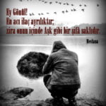 Resimli aşk sözleri mevlana