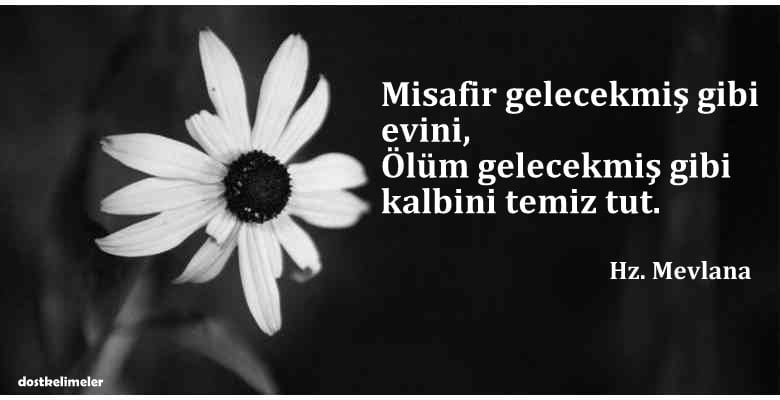 Resimli misafir sözleri