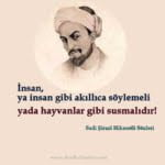 Sadi Şirazi Hikmetli Sözleri