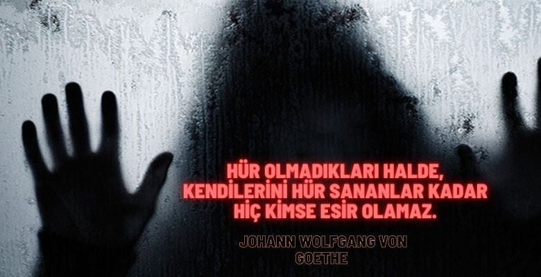 Von GOETHE resimli sözleri