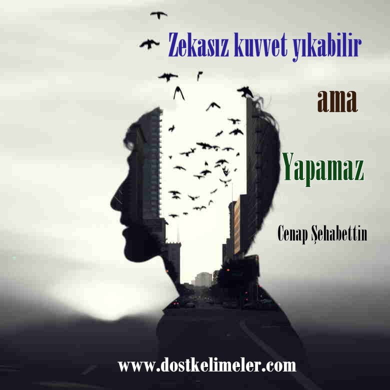 Zeka ile ilgili sözler 1 Zeka ile ilgili sözler Resimli