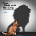 Cesaret ile ilgili sözler 2 cesaret ile ilgili resimli söz