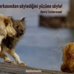 Cesaret ile ilgili sözler 8 cesaret ile ilgili resimli sözler