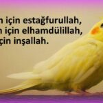 en-guzel-resimli-dini-sozler2