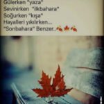 facebook için güzel paylaşımlar