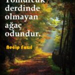 facebook için güzel söz necip fazıl