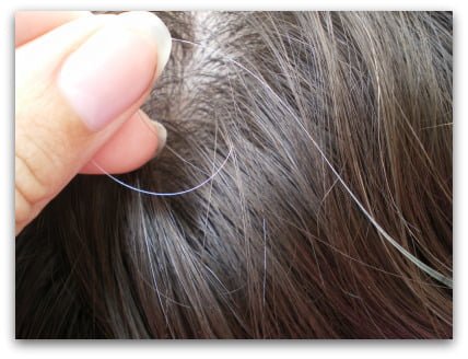 İnsan saçı neden Grileşir 1 gray-hair-natural-remedies