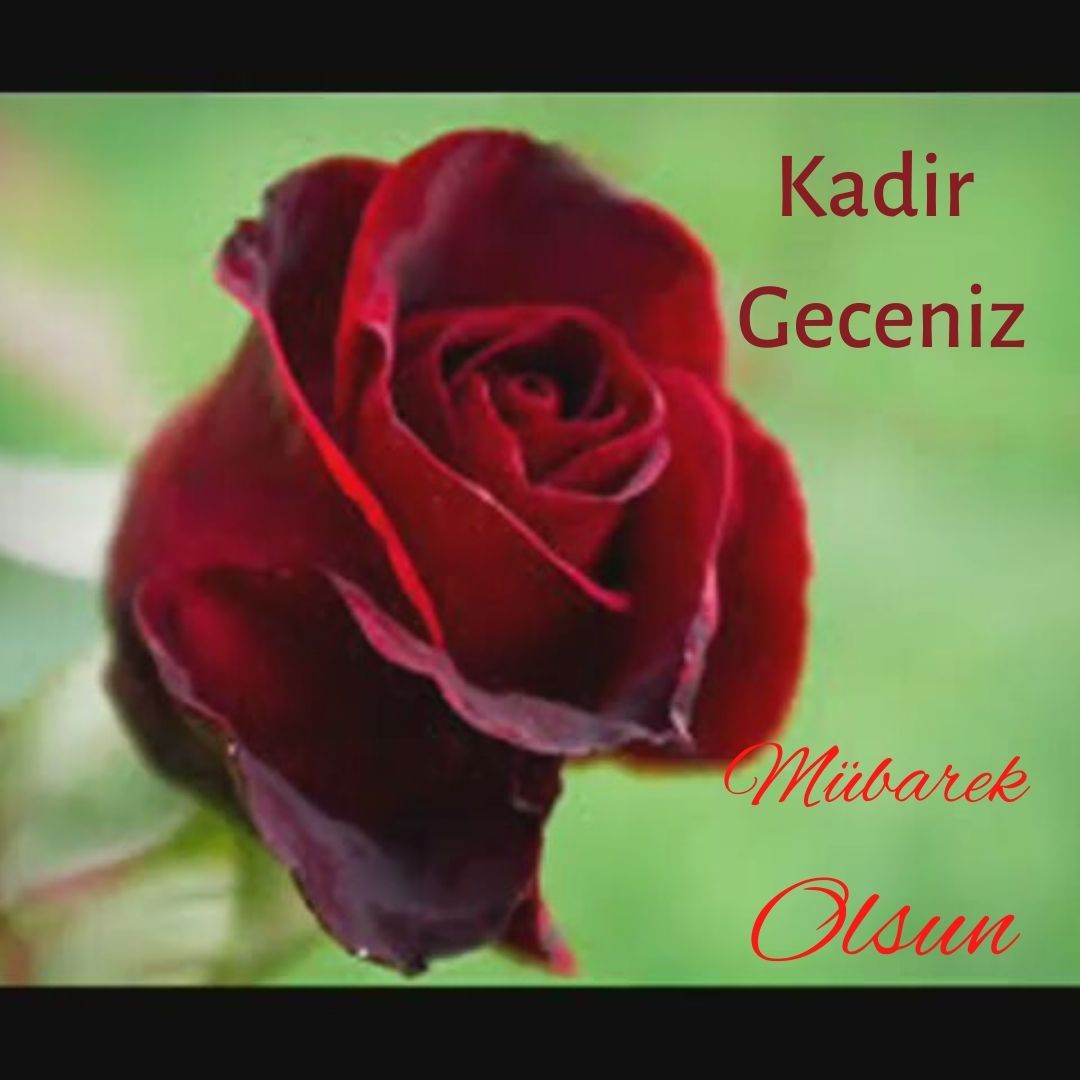 En İyi Kadir Gecesi Mesajları, En Yeni Kadir Gecesi Mesajları, Kadir gecesi mesajları, En Güzel Kadir Gecesi Mesajları, hadisli kadir gecesi mesajları, Resimli Kadir Gecesi Mesajları 2024