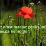 güzel anlamlı sözler kısa ve resimli